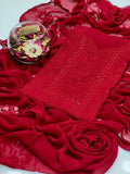 Shadow Sheesha Gala Work & Chikenkari 2 Pcs Dress BFchf001